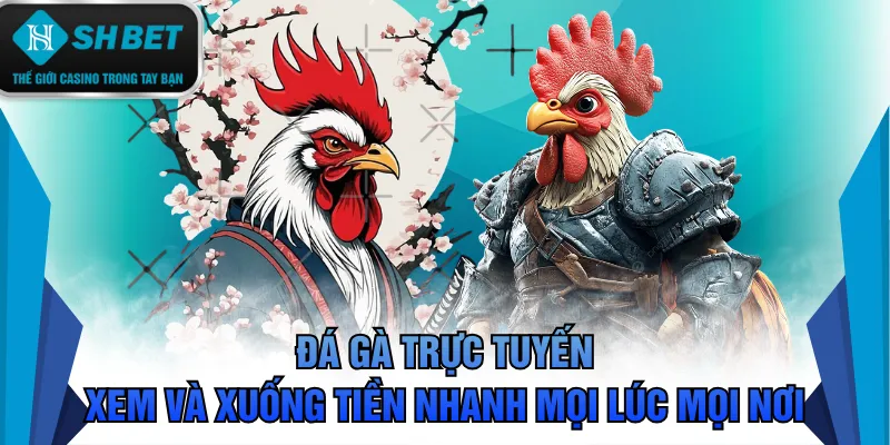 Đá gà trực tuyến